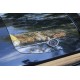 Coral Gas Ψησταριά Υγραερίου Sahara 3 Burner Oak BBQ Smokey Teal